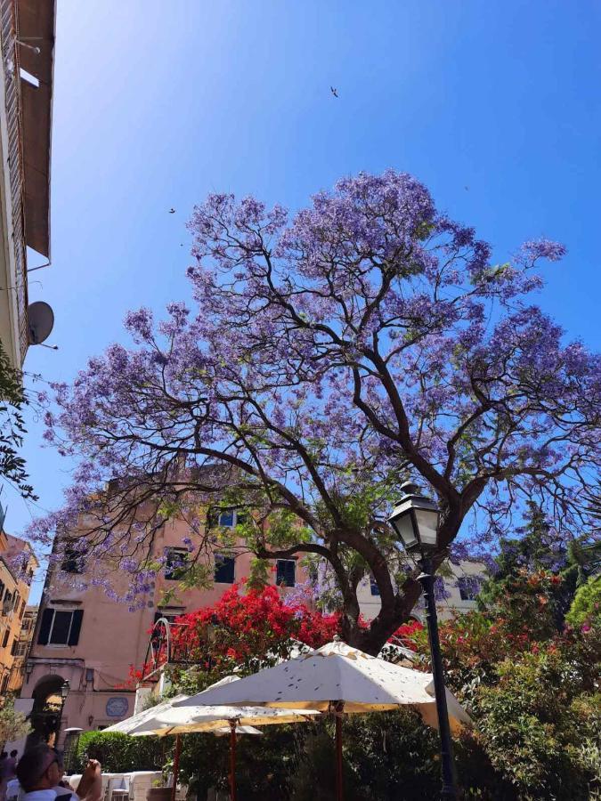 Jacaranda Corfu Old Town Apt Dış mekan fotoğraf